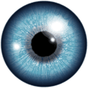 myeyetheory.com Web Application logo